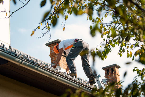 Best Metal Roofing Contractor  in Winnebago, MN
