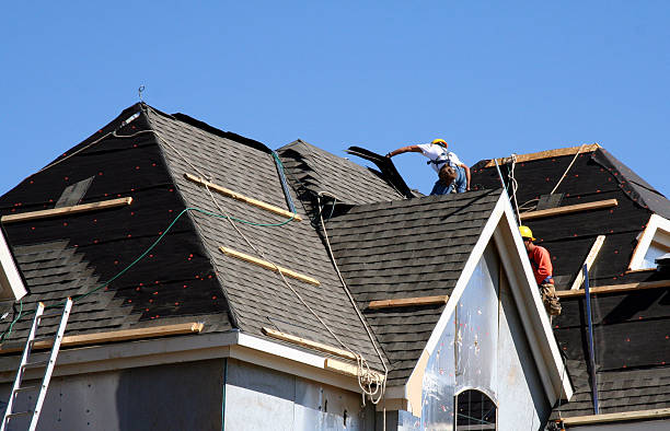 Best New Roof Installation  in Winnebago, MN