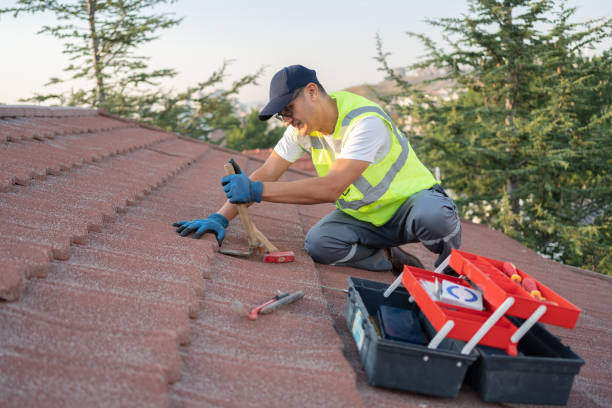 Best Flat Roof Repair Services  in Winnebago, MN