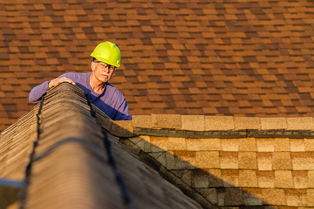 Best Roof Restoration Services  in Winnebago, MN
