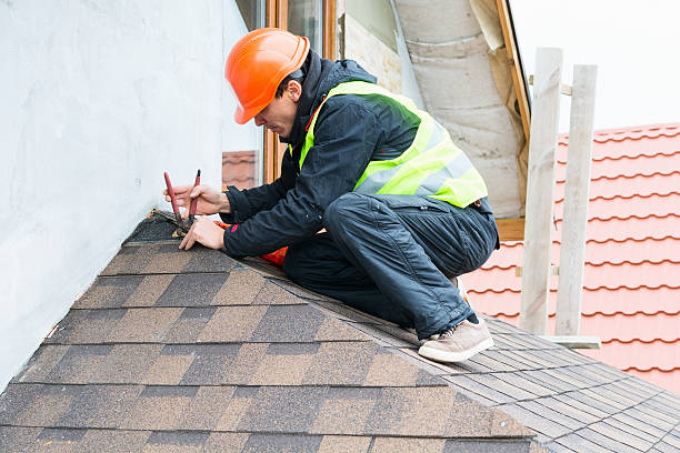 Best Gutter Installation and Roofing  in Winnebago, MN