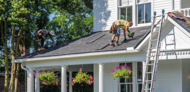 Best Storm Damage Roof Repair  in Winnebago, MN