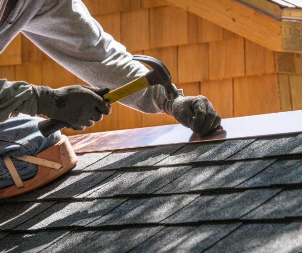Best Roof Leak Repair  in Winnebago, MN